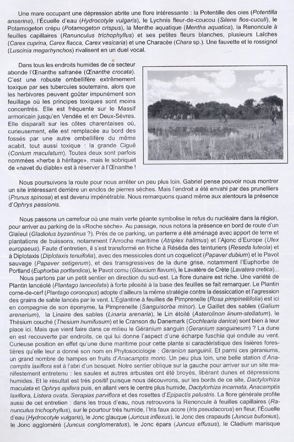 Page 3 COMPTE - RENDU D'ACTIVITES - Week-end orchidophile et botanique dans le Morbihan - 14 et 15 mai 2011.
