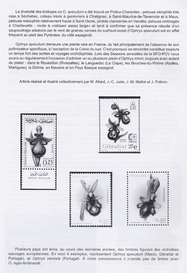 Page 6 Une pésentation du groupe d'Ophrys speculum.